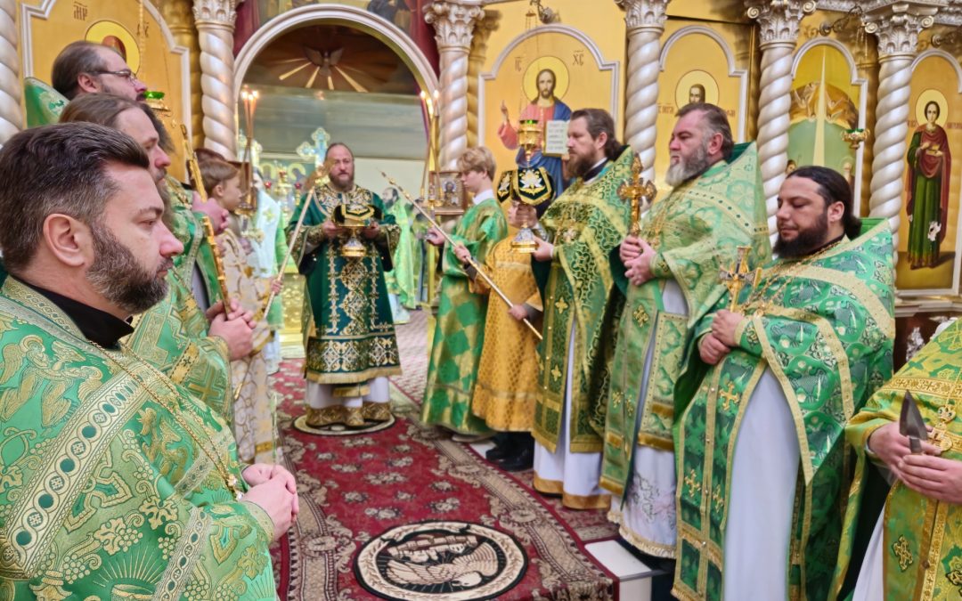 В Северодонецке почтили память блаженной Параскевы Старобельской